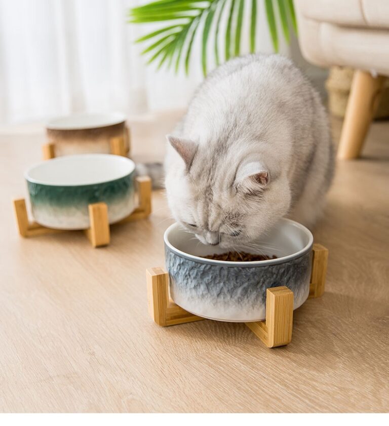 Ripple Textured Ceramic Pet Bowl